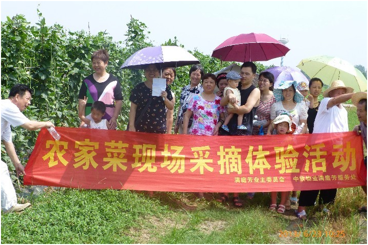 20250219118135.png 1292849643.png