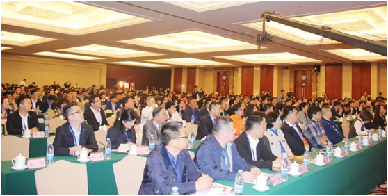 20250219227552.png 28184240301.png