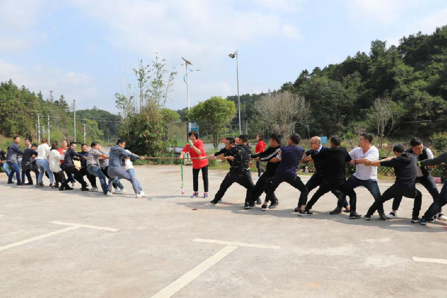 20250219460569.jpg 7.jpg