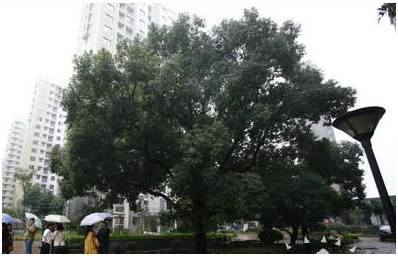 20250219572796.png 14112123628.png