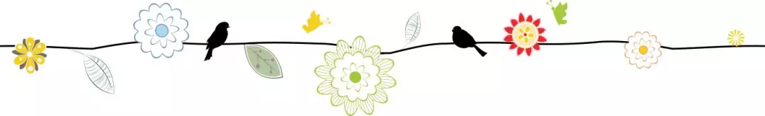 花分割線